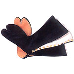 ���n������12���R�n�[