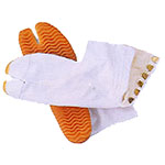 ���W���O����6���R�n�[