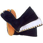 ���W���O����12���R�n�[