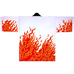 �Ղ蔼�Z�u�����v