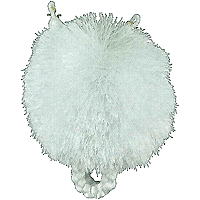 ���V���H�D�R