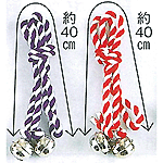 �q���p ��